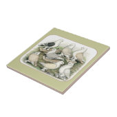 Classic Frill Pigeons Satinettes Tegeltje (Zijkant)