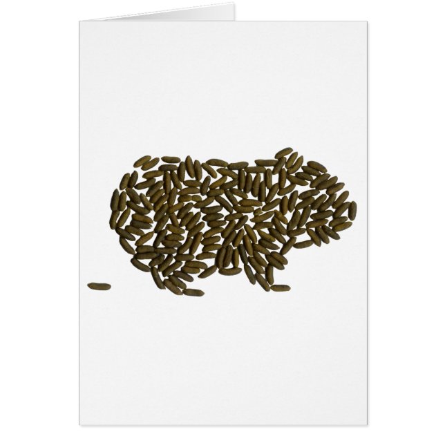 Classic Guinee Pig (Voorkant)