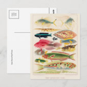 Classic Illustration Briefkaart (Voorkant / Achterkant)
