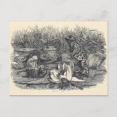 Classic Illustration Briefkaart (Voorkant)