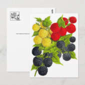 Classic Illustration Briefkaart (Voorkant / Achterkant)