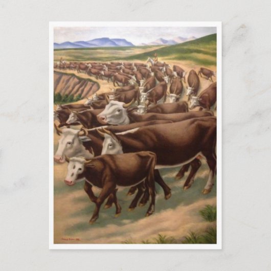 Classic Illustration Briefkaart (Voorkant)