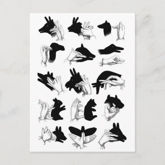 Classic Illustration Briefkaart (Voorkant)