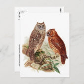 Classic Illustration Briefkaart (Voorkant / Achterkant)