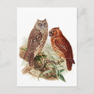 Classic Illustration Briefkaart