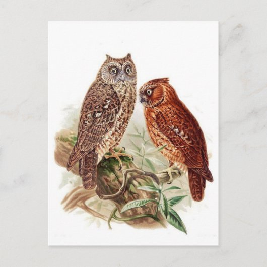 Classic Illustration Briefkaart (Voorkant)