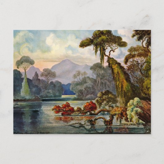 Classic Illustration Briefkaart (Voorkant)