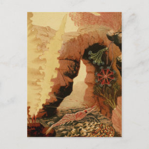 Classic Illustration Briefkaart