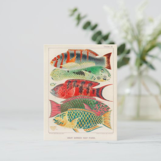 Classic Illustration Briefkaart (Staand voorkant)