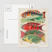 Classic Illustration Briefkaart (Voorkant / Achterkant)