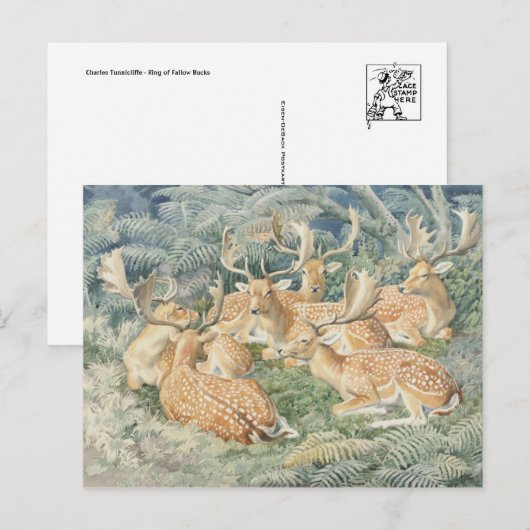 Classic Illustration Briefkaart (Voorkant / Achterkant)