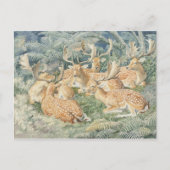 Classic Illustration Briefkaart (Voorkant)