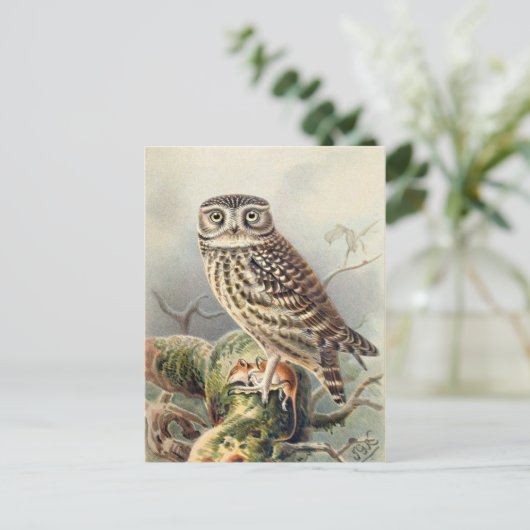 Classic Illustration Briefkaart (Staand voorkant)