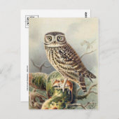 Classic Illustration Briefkaart (Voorkant / Achterkant)