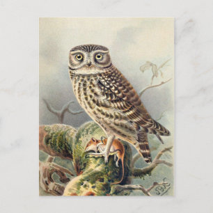 Classic Illustration Briefkaart