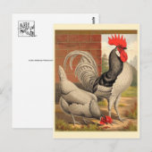 Classic Illustration Briefkaart (Voorkant / Achterkant)