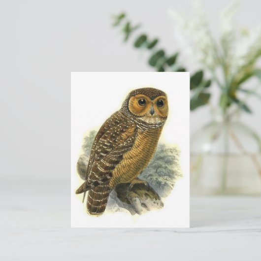 Classic Illustration Briefkaart (Staand voorkant)