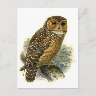 Classic Illustration Briefkaart