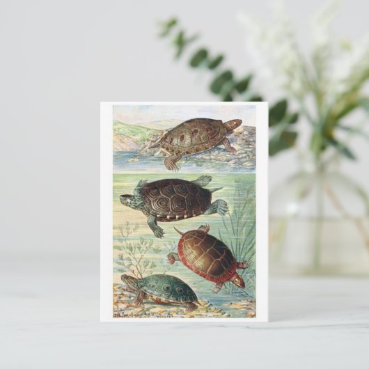 Classic Illustration Briefkaart (Staand voorkant)