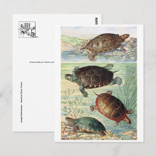 Classic Illustration Briefkaart (Voorkant / Achterkant)