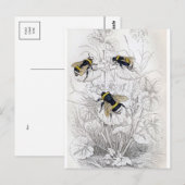 Classic Illustration Briefkaart (Voorkant / Achterkant)