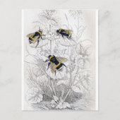 Classic Illustration Briefkaart (Voorkant)