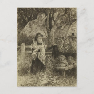 Classic Illustration Briefkaart