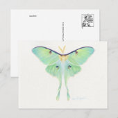 Classic Illustration Briefkaart (Voorkant / Achterkant)