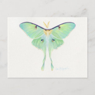 Classic Illustration Briefkaart