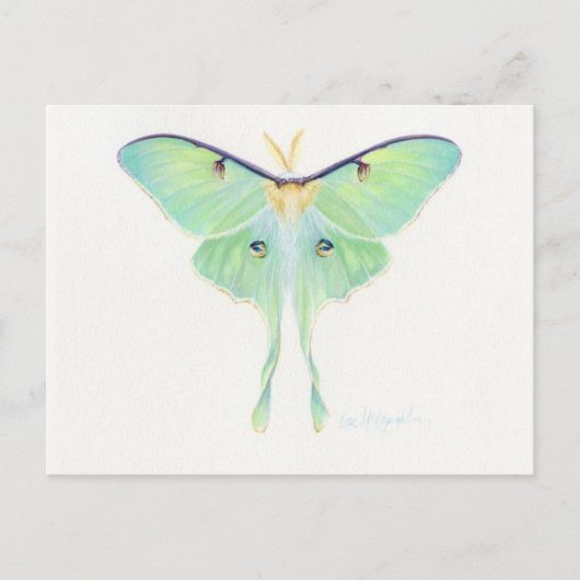 Classic Illustration Briefkaart (Voorkant)