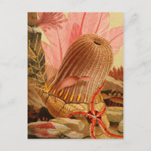 Classic Illustration Briefkaart