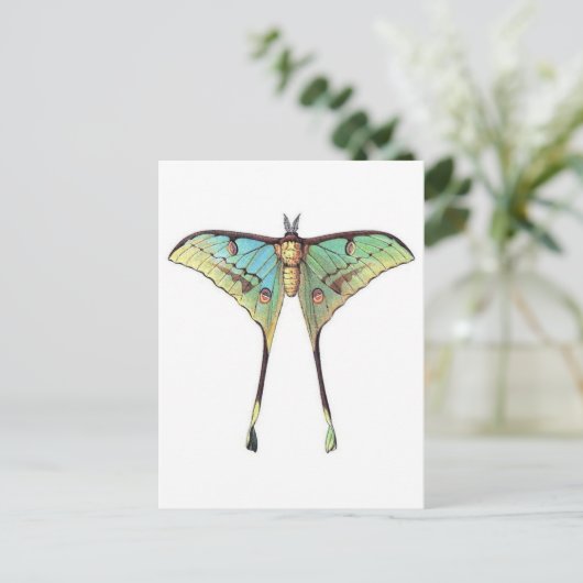 Classic Illustration Briefkaart (Staand voorkant)