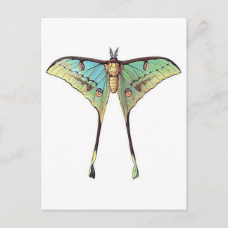 Classic Illustration Briefkaart