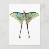 Classic Illustration Briefkaart (Voorkant)