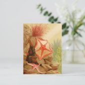 Classic Illustration Briefkaart (Staand voorkant)