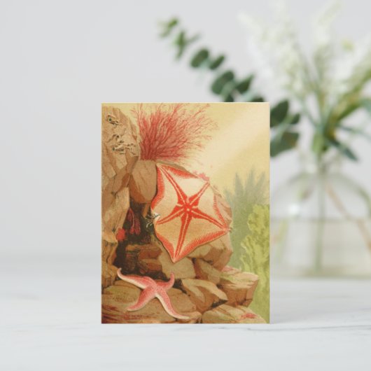 Classic Illustration Briefkaart (Staand voorkant)