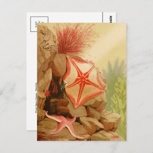 Classic Illustration Briefkaart (Voorkant / Achterkant)