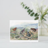 Classic Illustration Briefkaart (Staand voorkant)