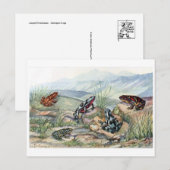 Classic Illustration Briefkaart (Voorkant / Achterkant)