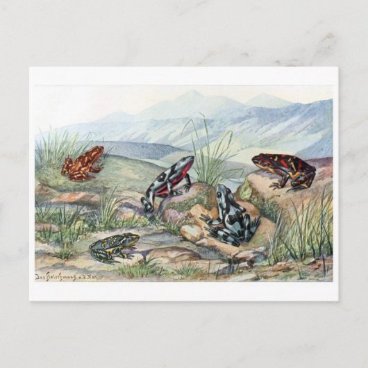 Classic Illustration Briefkaart (Voorkant)