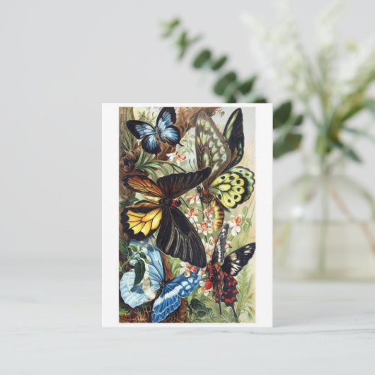 Classic Illustration Briefkaart (Staand voorkant)