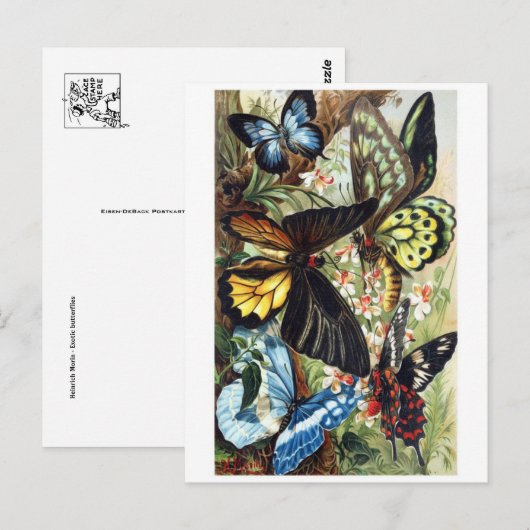 Classic Illustration Briefkaart (Voorkant / Achterkant)