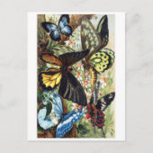 Classic Illustration Briefkaart (Voorkant)