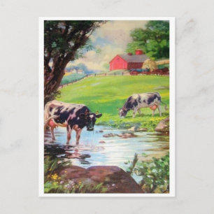 Classic Illustration Briefkaart