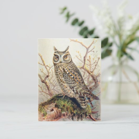 Classic Illustration Briefkaart (Staand voorkant)