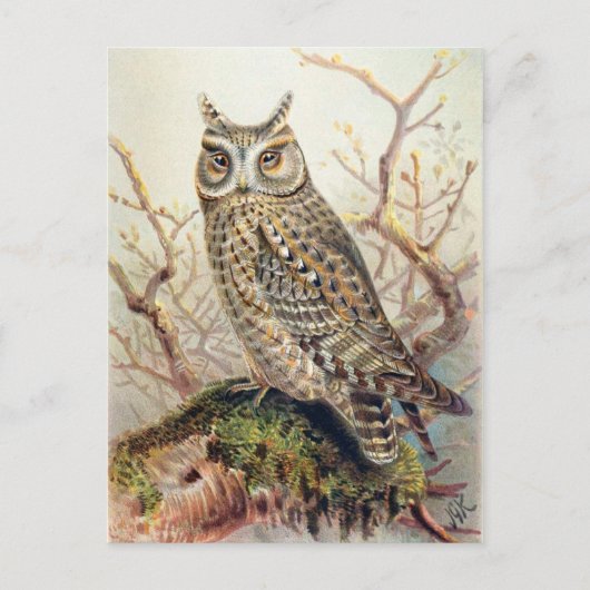 Classic Illustration Briefkaart (Voorkant)