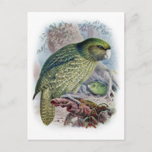 Classic Illustration Briefkaart