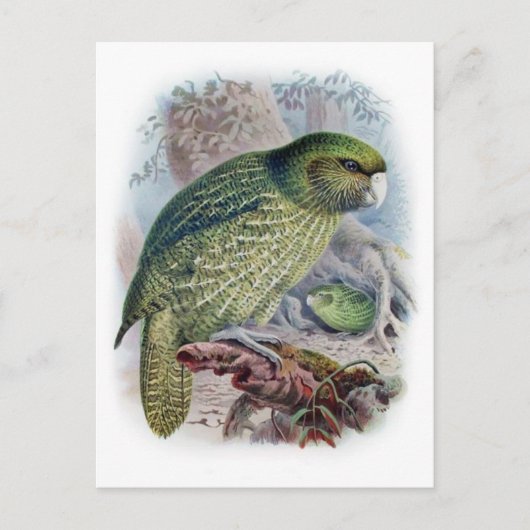 Classic Illustration Briefkaart (Voorkant)