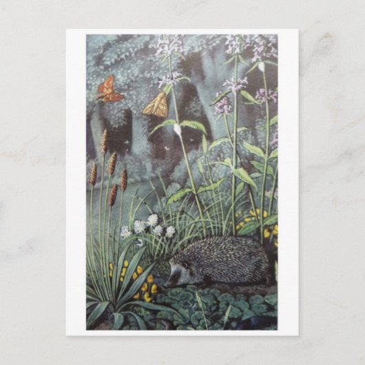 Classic Illustration Briefkaart (Voorkant)
