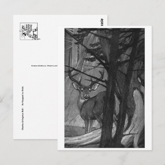 Classic Illustration Briefkaart (Voorkant / Achterkant)